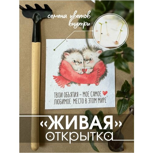 Открытки Istok EcoShop Живая открытка для любимой фото