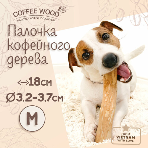 фотография Игрушка для собак COFFEE WOOD 