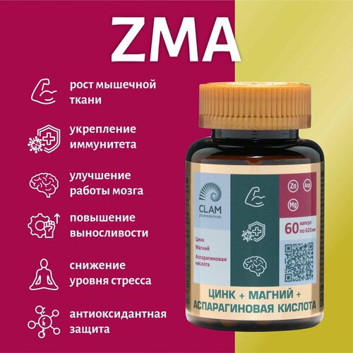 Бустер тестостерона ZMA витамины для мужчин, Цинк + Магний + аспарагиновая кислота, спортивное питание, 60 капсул фото