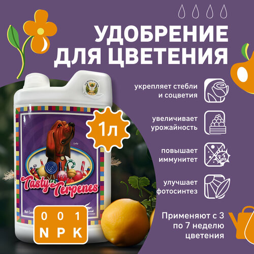 Удобрение для метаболизма/ усилитель вкуса Advanced Nutrients Tasty Terpenes 1 л. фото