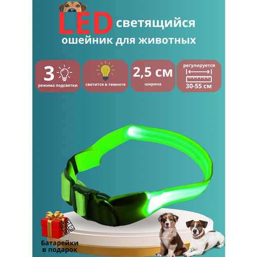 Светящийся led-ошейник, ошейник для собак и кошек, универсальный (регулируемый размер), зеленый фото