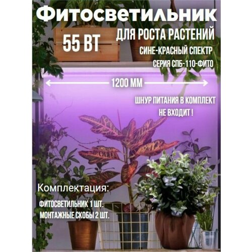 Светильник светодиодный СПБ-110-ФИТО сине-красный спектр 55Вт 1200мм IN HOME фото