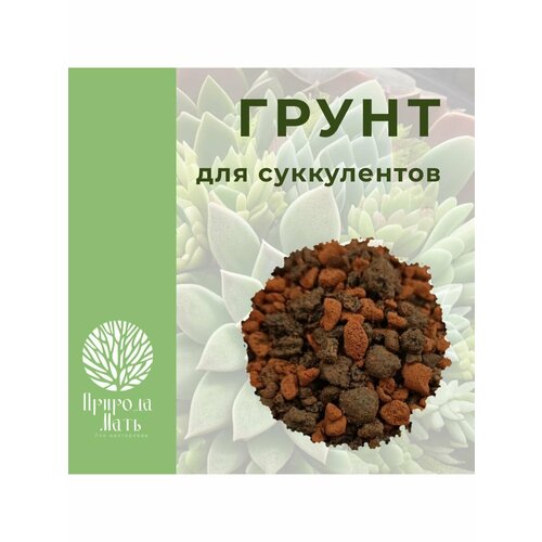 Грунт для суккулентов и кактусов 0,5л. фото