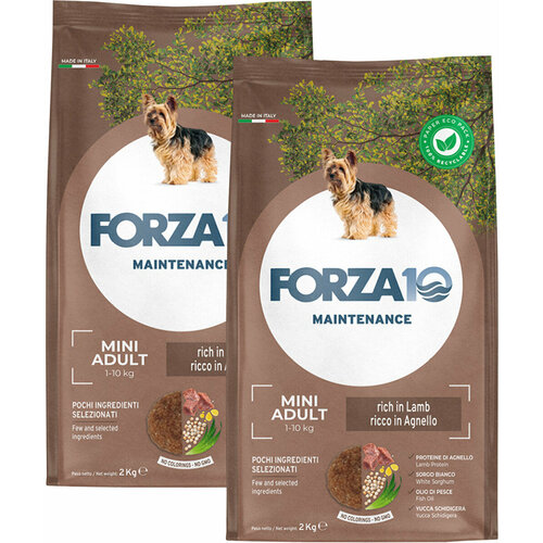 фотография FORZA10 DOG MAINTENANCE ADULT SMALL/MEDIUM для взрослых собак маленьких и средних пород с ягненком и рисом (2 + 2 кг), купить за 3117р