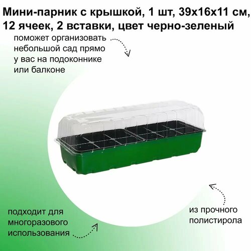 Мини-парник с крышкой 39х16х11 см, 12 ячеек, 2 вставки, цвет черно-зеленый. Емкость предназначена для выращивания рассады. фото