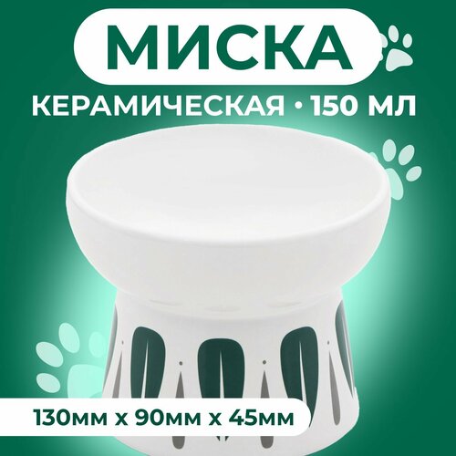 фотография Миска керамическая 