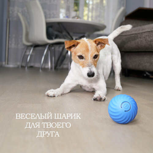 Вращающийся умный шарик petgravity для собак с автоматическим избеганием препятствий синего цвета фото