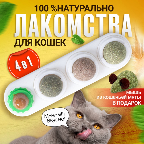 Леденец с кошачьей мятой, шарик лакомство для кошек 3 шт + конфета + мышка из кошачьей мяты . Цвет белый фото