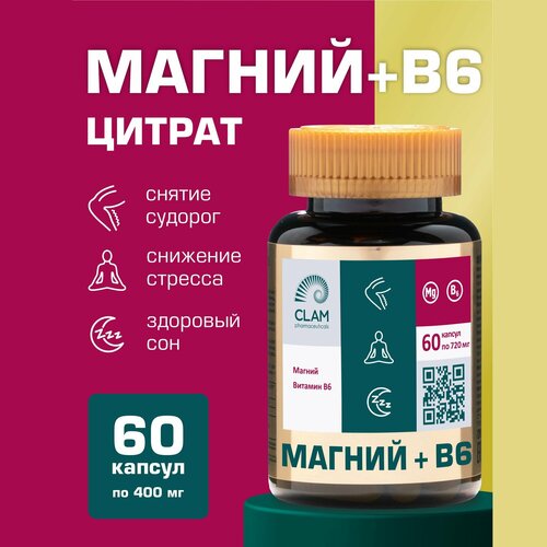 Комплекс витаминов Магний цитрат + В6, витамины группы В (magnesium), бады для борьбы со стрессом и усталостью Magnesium Citrate фото