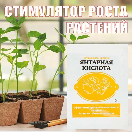 Янтарная кислота для растений 5г фото