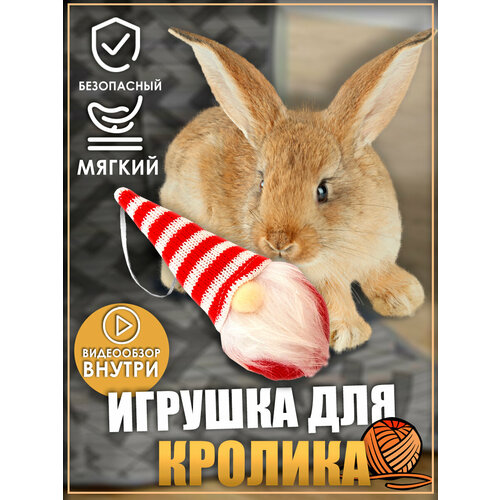 Игрушка для кролика, гном, игрушки для грызунов, игрушки для животных фото