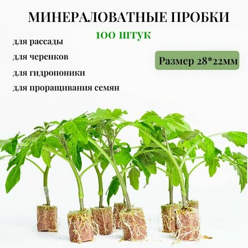 Минераловатные пробки 100шт 22*28мм из агроваты для выращивания рассады, укоренения черенков, проращивания семян , гидропоники. фото