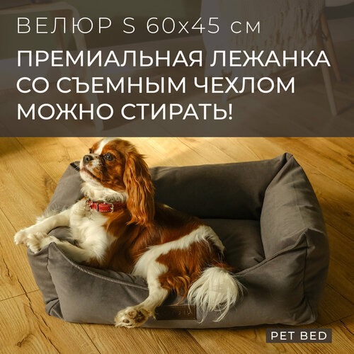 Лежанка для собак мелких пород со съемным чехлом PET BED Велюр, размер S 60х45 см, темно-серая фото