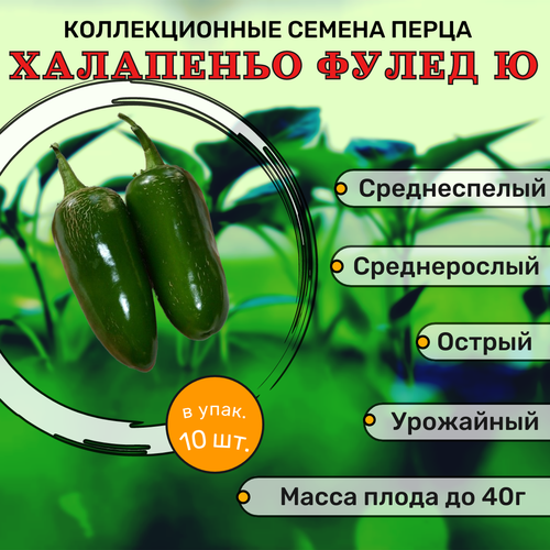 фотография Коллекционные семена перца острого Халапеньо Фулед Ю, купить за 122р