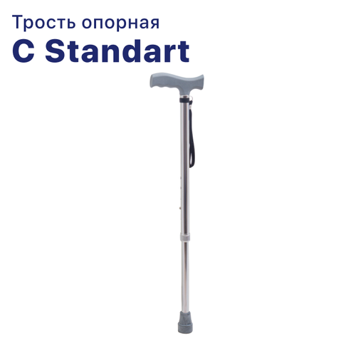 Трость C Standart хром фото