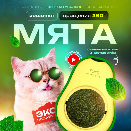 Кошачья мята, Лакомство для кошек, Игрушка для котят, Леденец для котов с витаминами фото