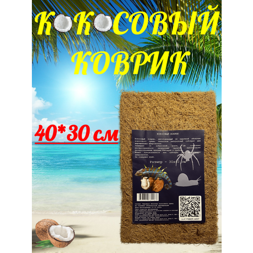 Кокосовый коврик 40*30 фото