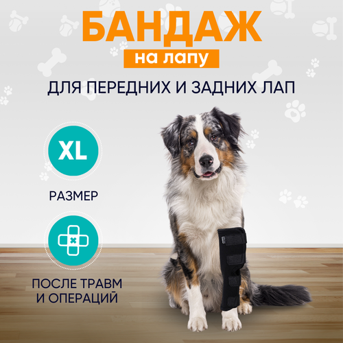 Бандаж ветеринарный на лапу для собак Mr Dog черный XL фото