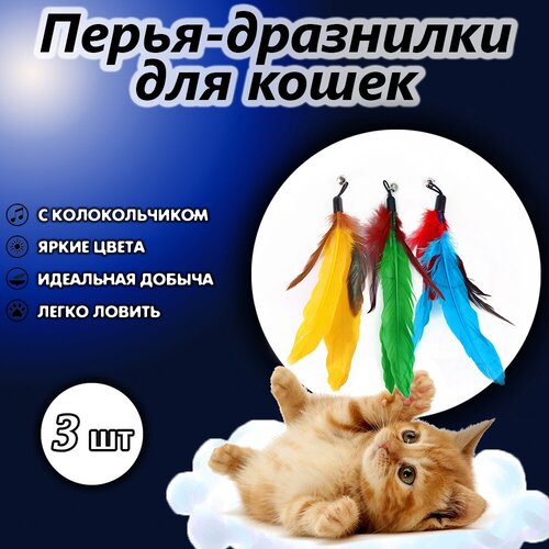 Игрушки для кошек дразнилка Перья на резинке 3 шт. фото