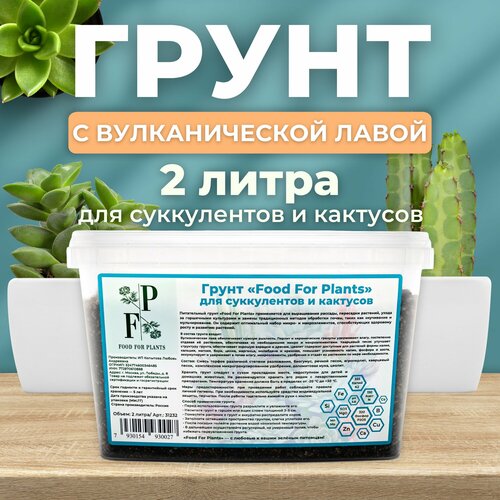 Субстрат для комнатных растений. Грунт для суккулентов и кактусов фото