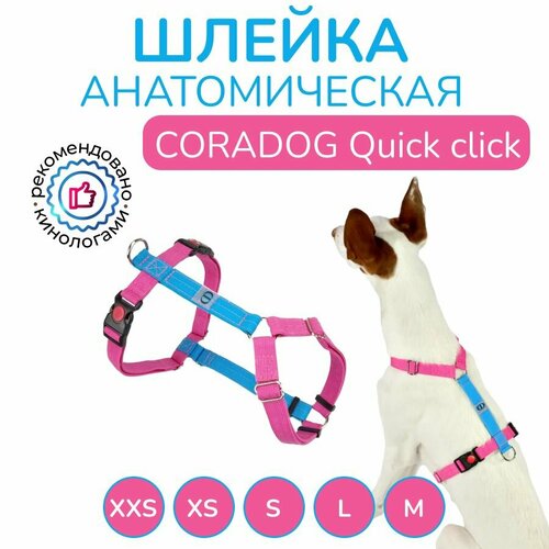 Шлейка прогулочная анатомическая для средних и крупных пород собак, CORADOG Quick click, размер L, цвет голубой, ярко розовый фото