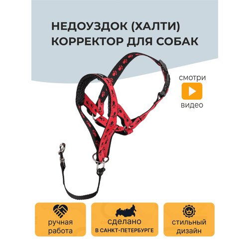 Недоуздок (Халти) корректор для дрессировки собак CHOKERZ фото