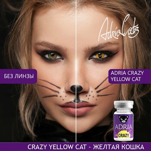 Контактные линзы ADRIA Crazy, 1 шт., R 8,6, D 0, yellow cat, 1 уп. фото