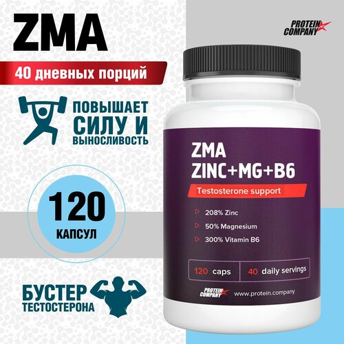 ZMA+ Zn+Mg+B6. Бустер тестостерона, ЗМА, цинк /магний /В6, 40 порций, 120 капсул. по 776 мг фото