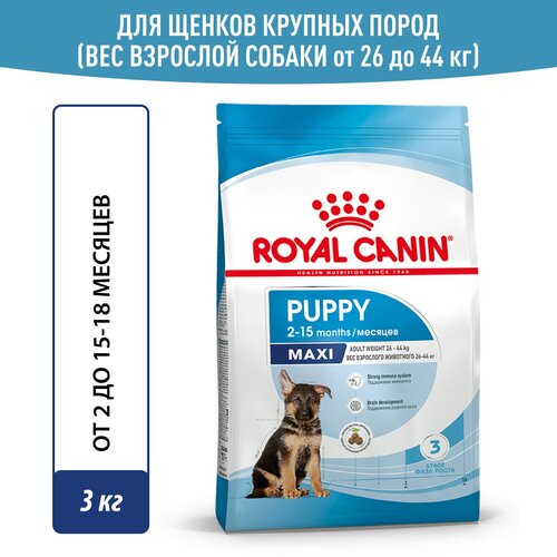 фотография Сухой корм Royal Canin Maxi Puppy (Макси Паппи) для щенков до 15 месяцев (для крупных пород), 3 кг, купить за 2500р