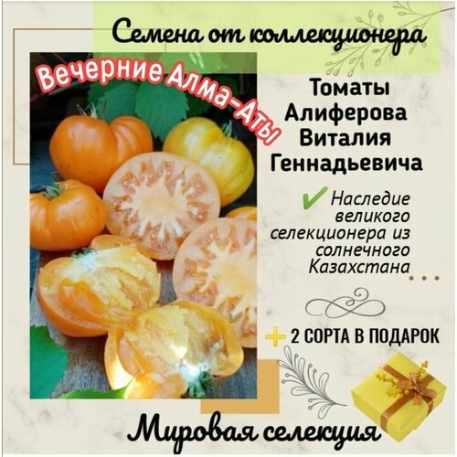 фотография Томаты Виталия Алиферова, сорт 