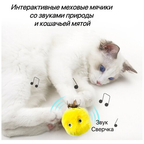 Игрушки для кошек, интерактивный мячик со звуком и кошачьей мяты для кошек фото