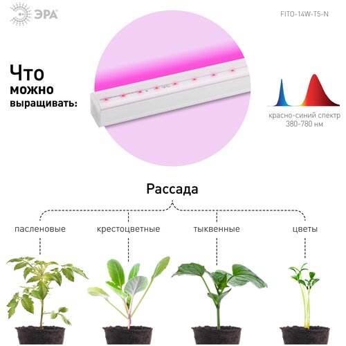 Светильник для растений, фитолампа светодиодная линейная ЭРА FITO-14W-Т5-N красно-синего спектра 14 Вт Т5 фото