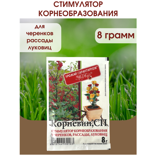 Корневин Стимулятор образования и роста корней, Упаковка - 8 гр. фото