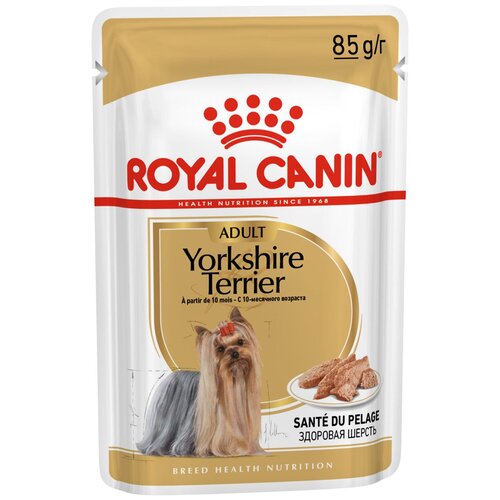 фотография Влажный корм для собак Royal Canin породы Йоркширский терьер, для здоровья кожи и шерсти 1 уп. х 1 шт. х 85 г (для мелких и карликовых пород), купить за 259р