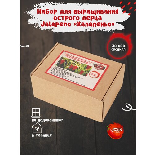 Набор для выращивания острого перца Халапеньо в домашних условиях, мини парник для рассады фото