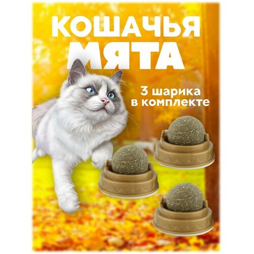 Кошачья мята для кошек, мятный шарик, леденец для кошек фото