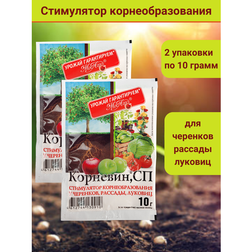 Корневин, стимулятор образования роста корней, в комплекте 2 упаковки по 10 г. фото