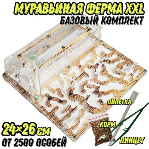 Большая муравьиная ферма 