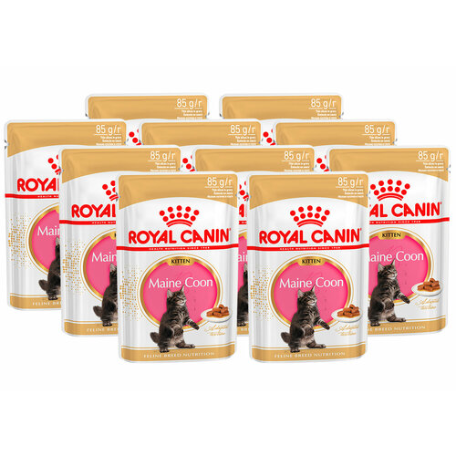 ROYAL CANIN MAINE COON KITTEN для котят мэйн кун в соусе пауч 85 гр 85 гр х 10 шт фото