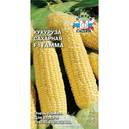 фотография Кукуруза Гамма F1 (сахарная) 4гр. (Седек), купить за 128р