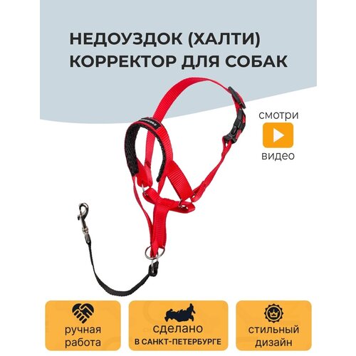 Недоуздок (Халти) №5 корректор для собак CHOKERZ. Обхват морды 26-42 см, шеи - 55-73 см фото