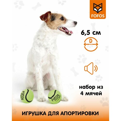 фотография Теннисные мячики 2 шт / Игрушка для собак с пищалкой FOFOS Sports Fetch Ball 2pk, купить за 349р