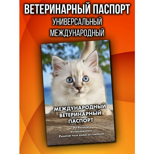 Ветеринарный паспорт для котят невская маскарадная международный фото