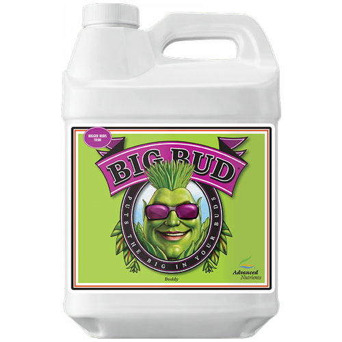 Стимулятор Advanced Nutrients Big Bud Liquid 0,5 Л фото