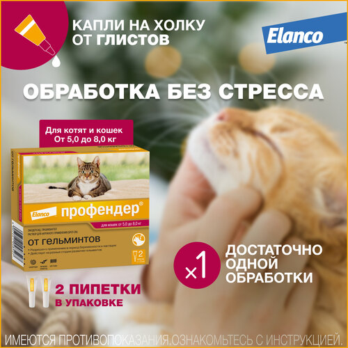 Профендер® (Elanco)  капли на холку от гельминтов для кошек от 5 до 8 кг - 2 пипетки фото