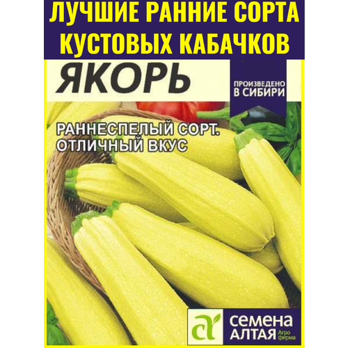 фотография Семена раннеспелых кустовых кабачков Якорь - 2 г. Отличный вкус, хорошая лёжкость, купить за 161р