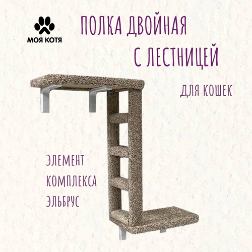 Полка двойная с лестницей для кошек Моя Котя бежевая фото