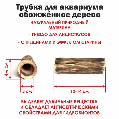 Трубка для аквариума глухая 12-14 см. с эффектом старины/ обожжённое дерево с трещинами и эффектом морёного дуба фото