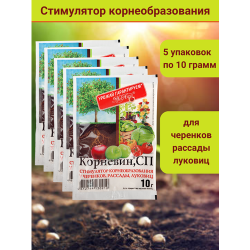 Корневин, стимулятор образования и роста корней 10 г. в комплекте 5 упаковок по 10 г. фото