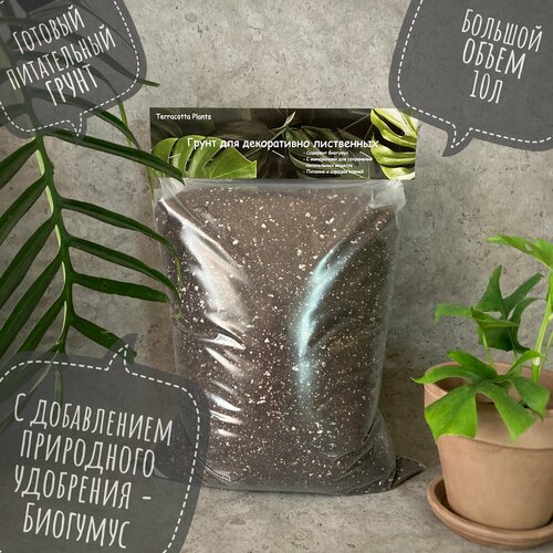 Готовый грунт 10 литров для комнатных растений и питательная земля Terracotta Plants на основе Биогумус. Земля для цветов и универсальный грунт фото